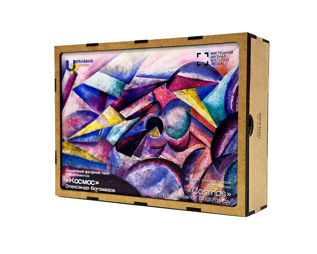 "Космос" Олександр Богомазов