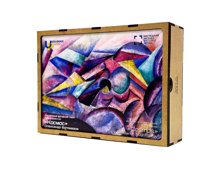 "Космос" Олександр Богомазов